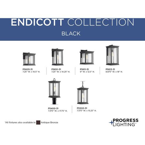 Endicott 1 Light 7 inch Textured Black Outdoor Hanging Lantern